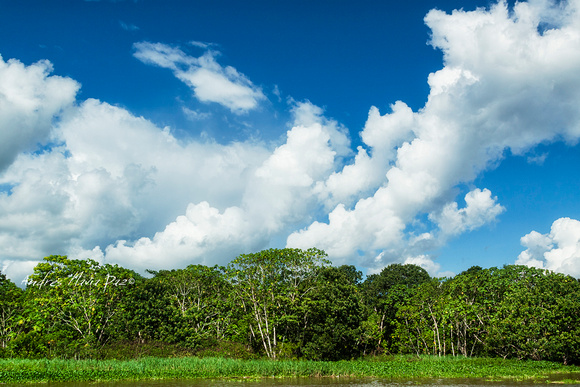 Amazonas - Colombia.