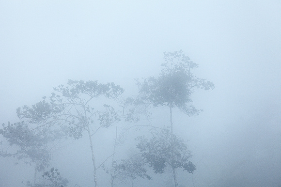 Valle del Cauca.